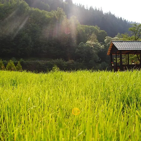 Hotell Billa Tatariv