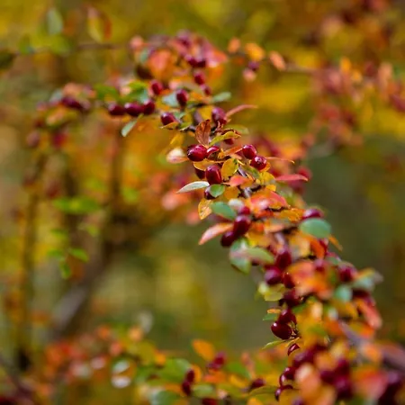 Hotell Billa Tatariv